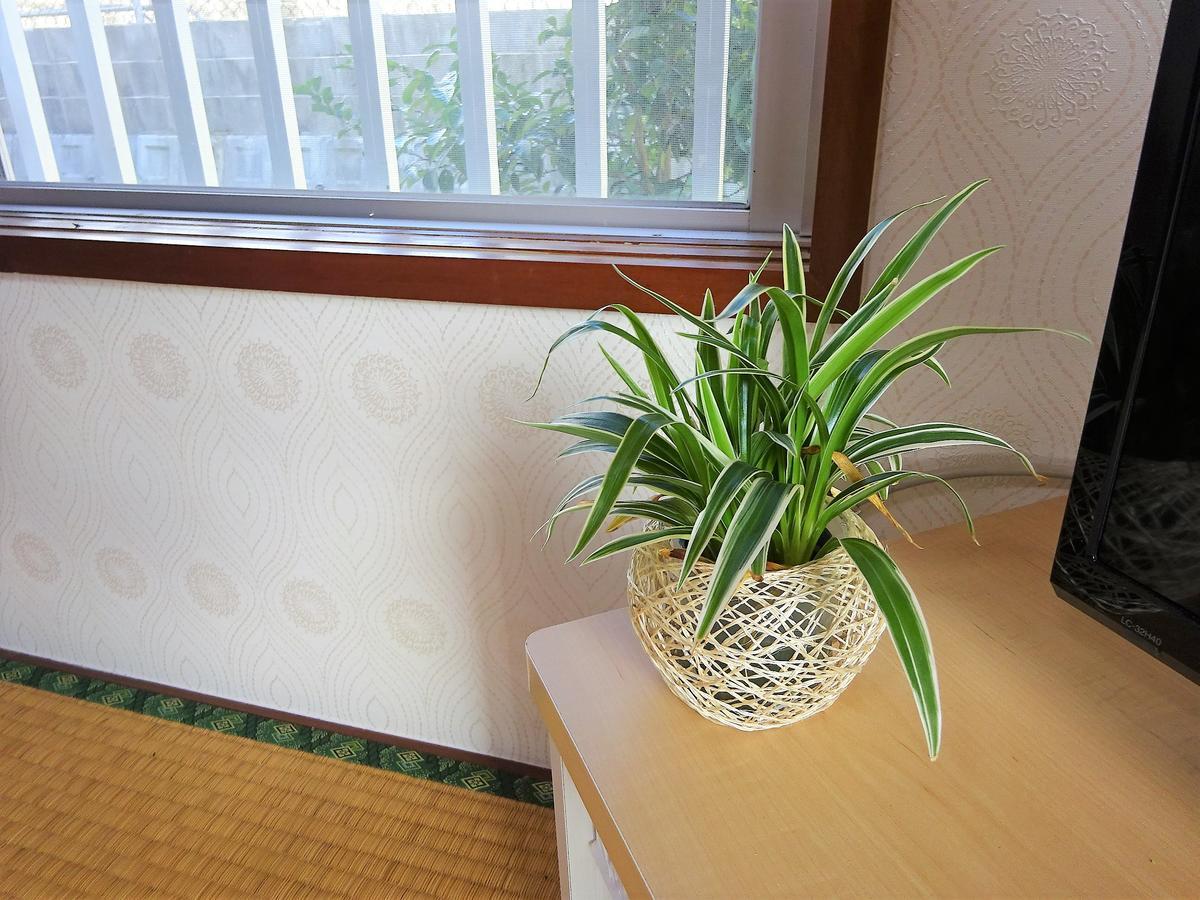 Minshuku Itoman Bettei Goyukkuri Hotel Ngoại thất bức ảnh